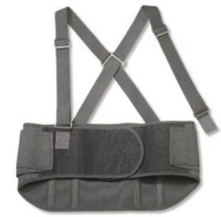 ProFlex® Standard Back Support