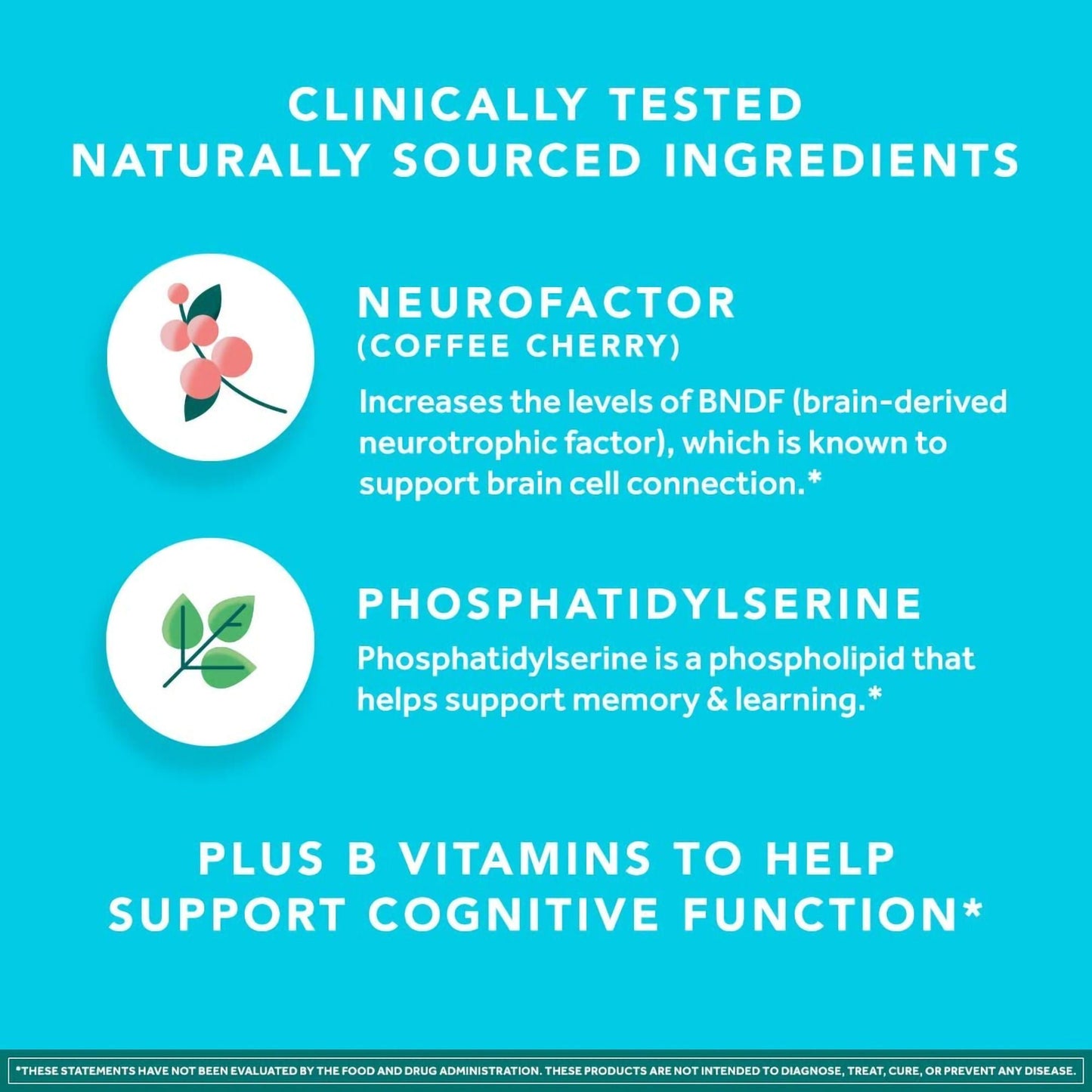 neuriva Plus Brain Health Supplement Coffee Fruit Extract (Coffea arabica) / Phosphatidylserine 200 mg - 100 mg Strength Capsule