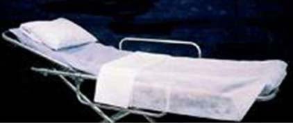 Stretcher Sheet Fitted Blue Disposable