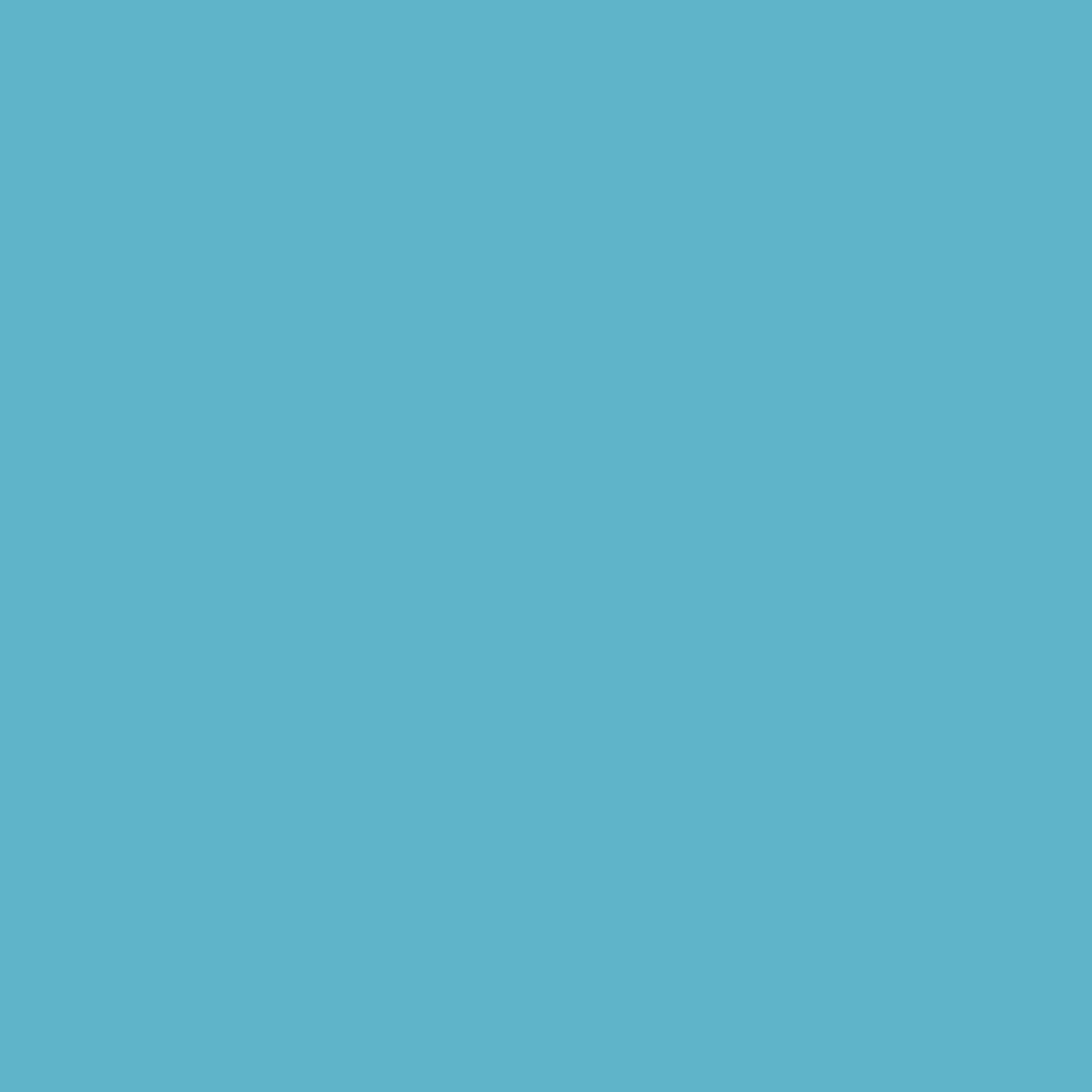 Tidi® Blue Procedure Towel