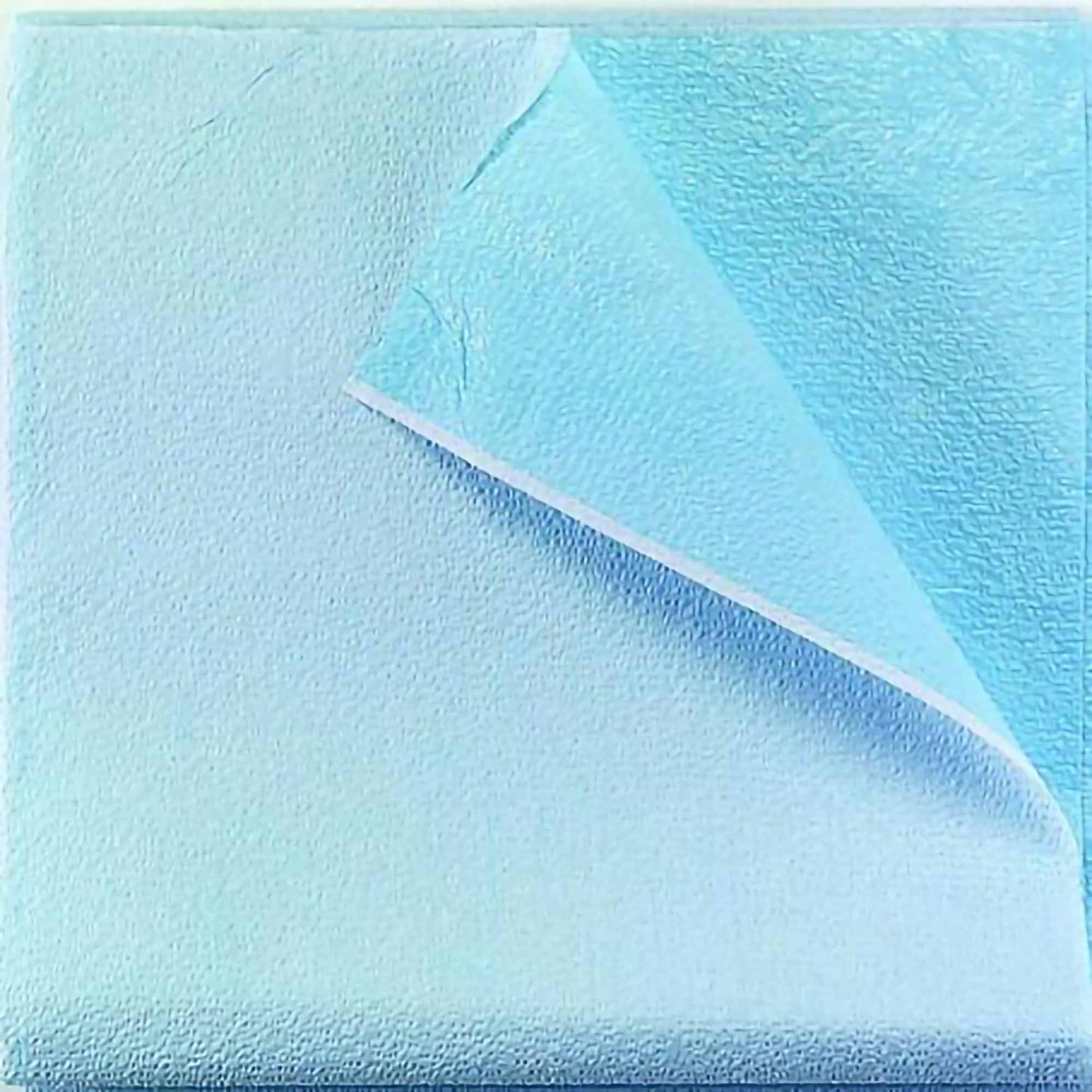 Tidi® Everyday Blue Stretcher Sheet