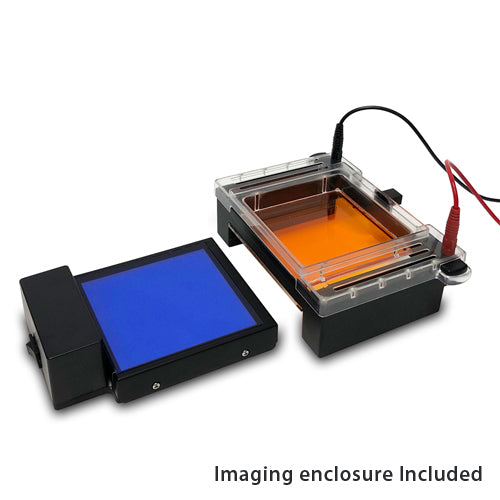 Accuris myGel InstaView Gel Tank with Blue LED Illuminator E1200