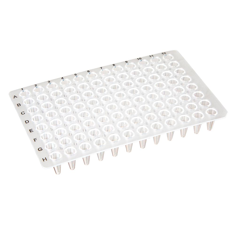 0.1 mL 96-Well PCR Plates, Low-Profile No-Skirt, Clear PP — 50/Case | Globe Scientific