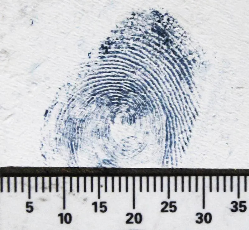 Pioneer Forensics Amido Black — gallon-format reference showing blue-black staining on evidence
