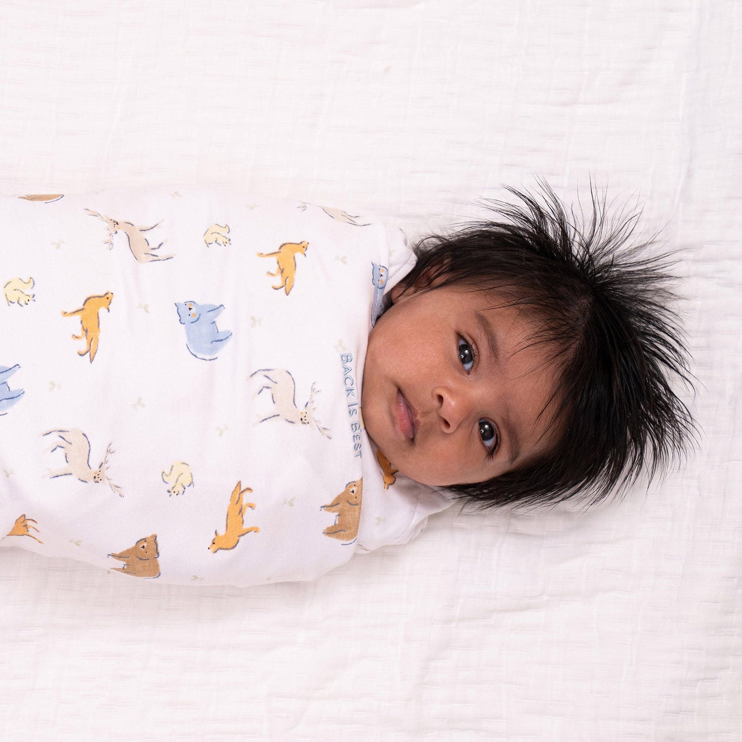 Halo SleepSack Swaddle Cotton