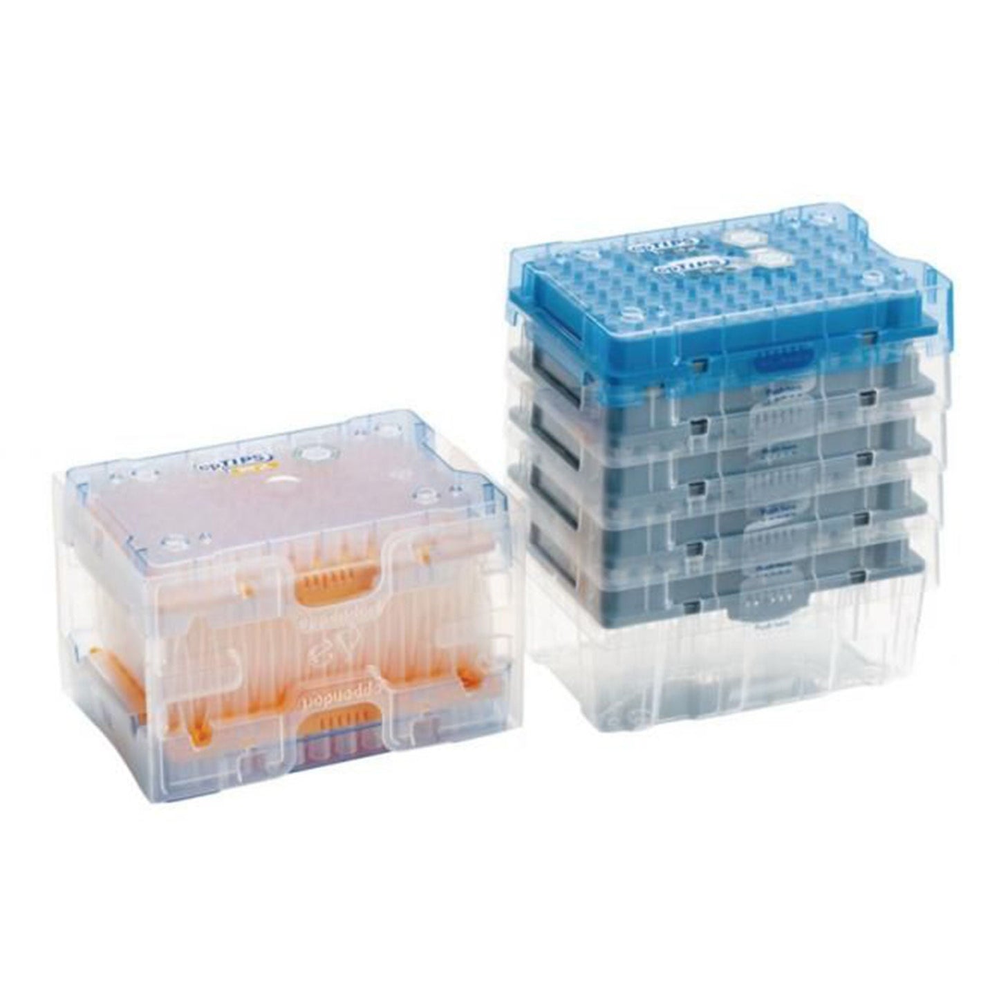 epT.I.P.S.® Reloads, Eppendorf Quality™ Pipette Tip, 20 to