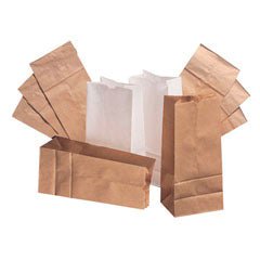 White Paper Bag, x 9.75 Inch
