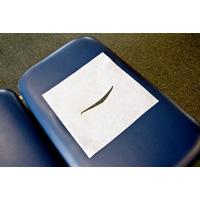Graham Medical Headrest Sheet, White