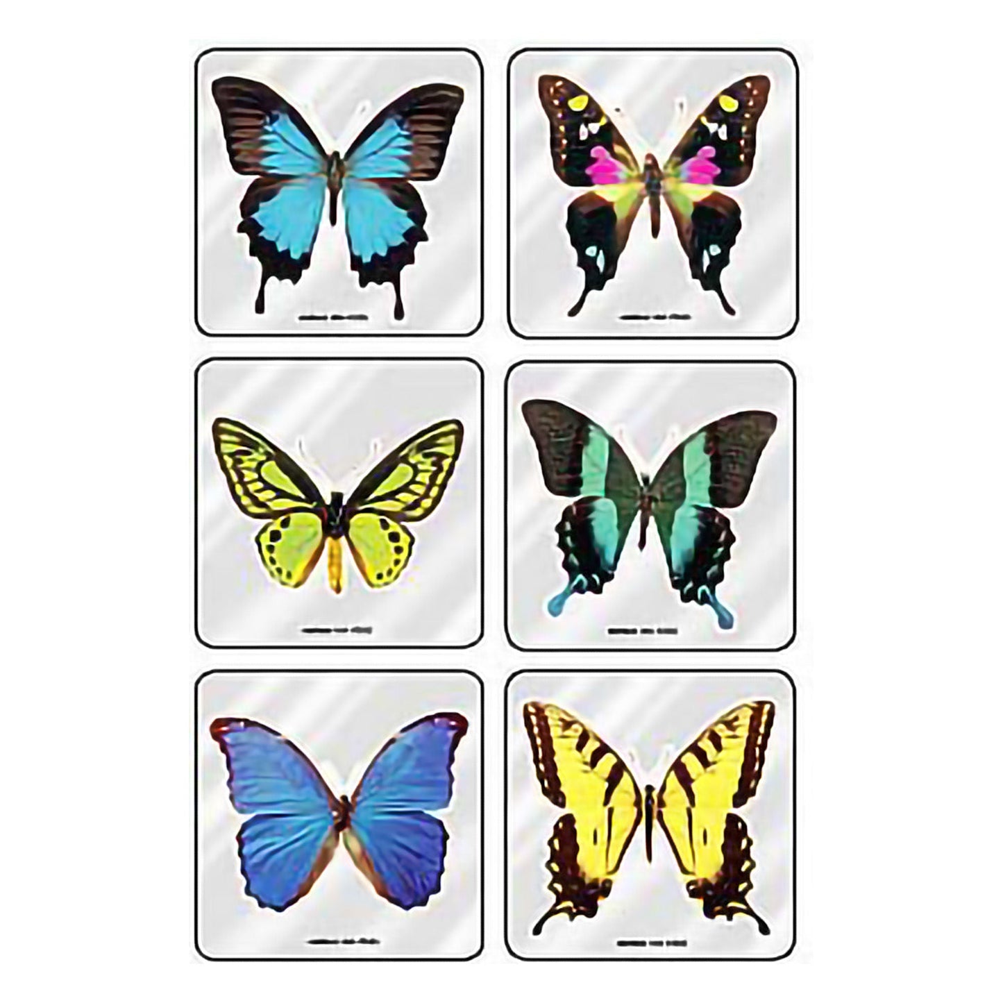 MiniBadges Sticker Foil Butterflies