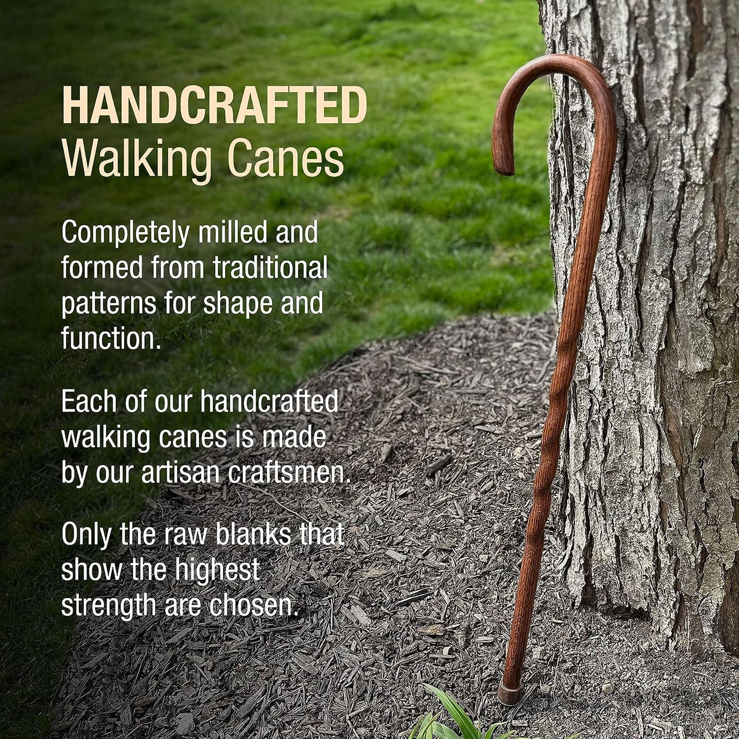 Brazos™ Twisted Oak Traditional Handcrafted Walking Cane, 37-Inch