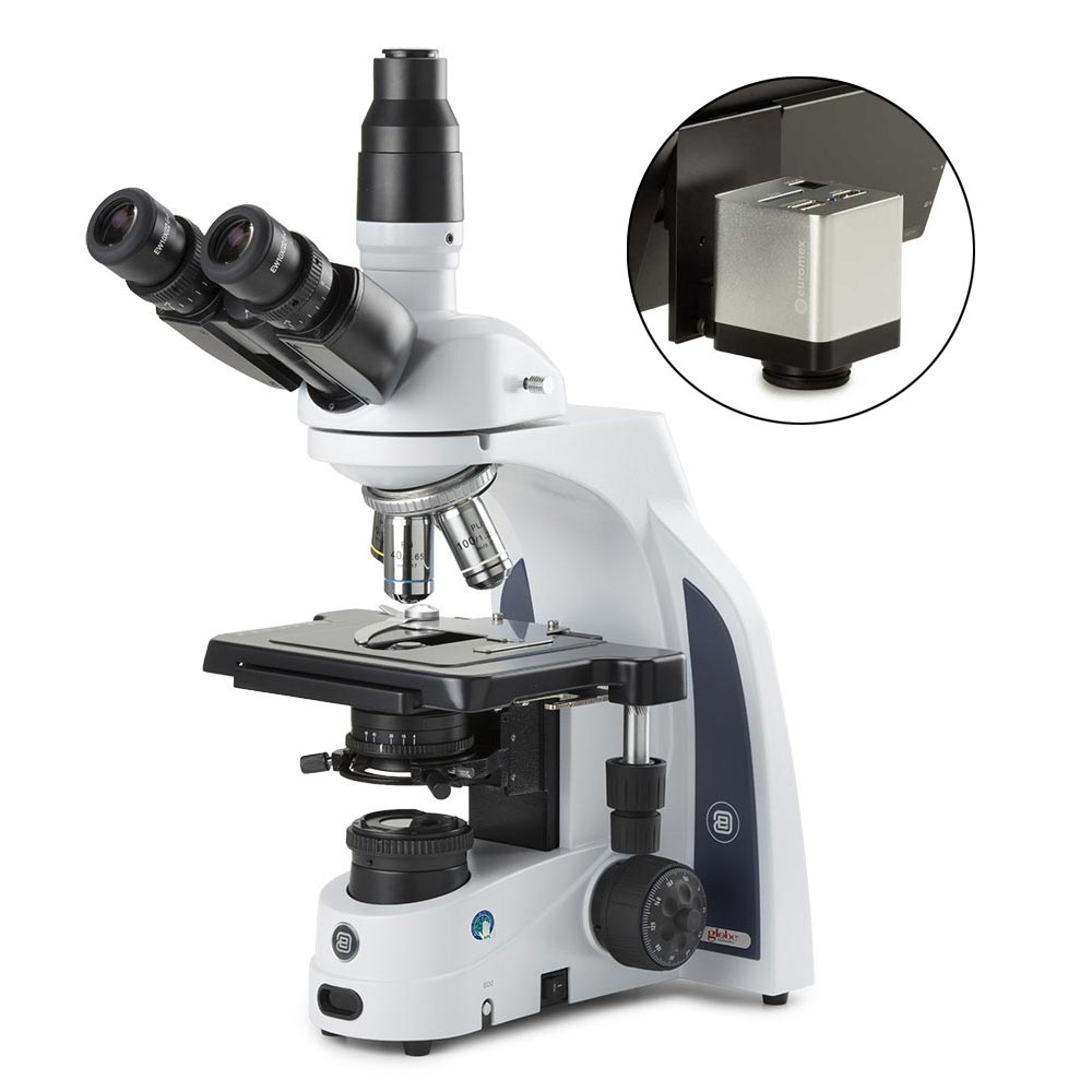 iScope Trinocular Microscope, EWF 10x/22mm Eyepieces, PLi Plan IOS Objectives — 2 Options, Each | Globe Scientific