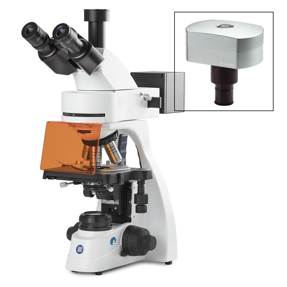 Globe Scientific bScope Trinocular LED Fluorescence Microscope EBS-3153-PLFI-DC18 with CMEX-18 Pro Camera
