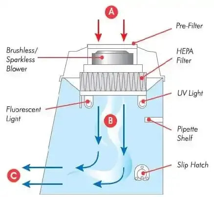 PCR Workstation Sterile PCR Hood with HEPA and UV