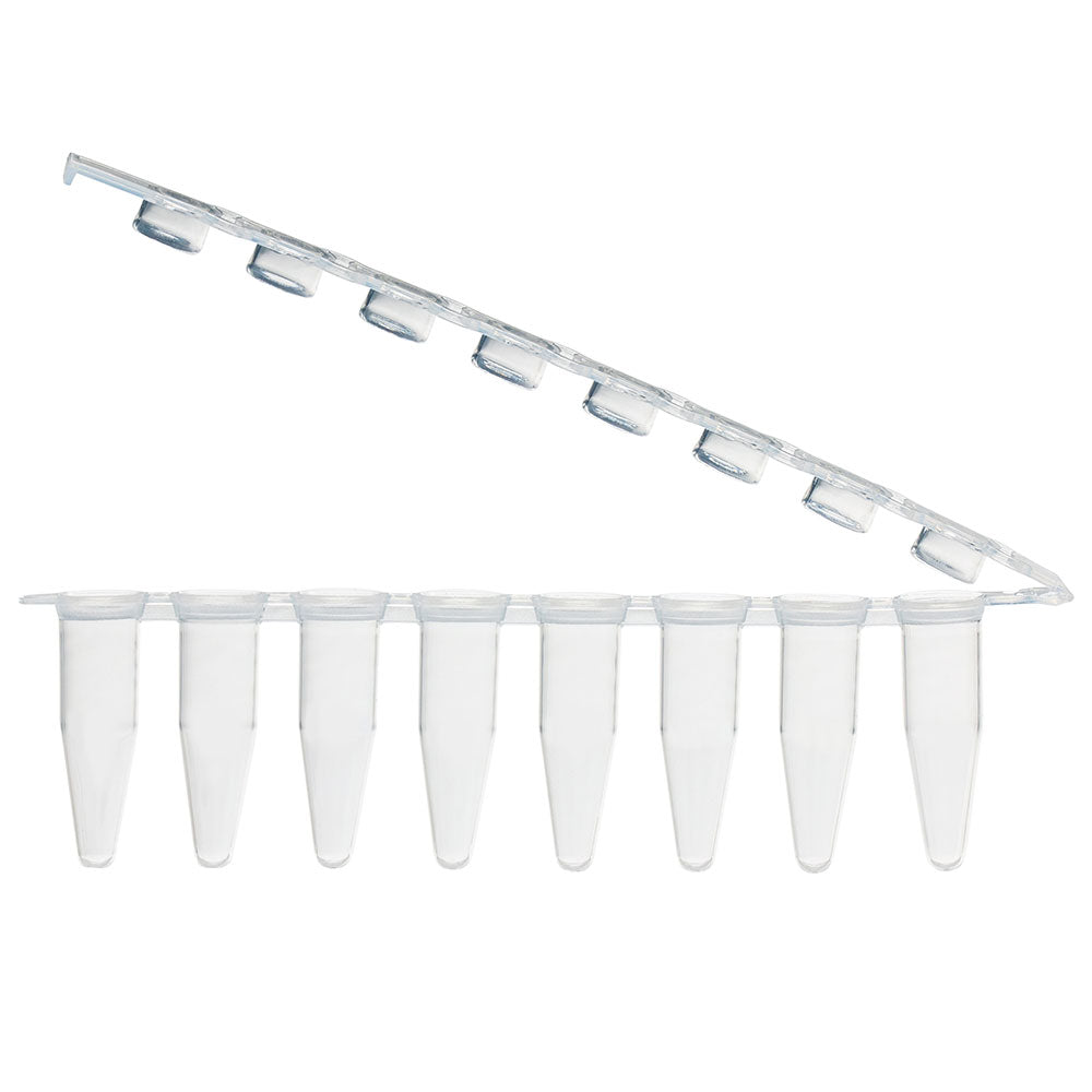 0.2 mL PCR 8-Strip Tubes, Attached Hinged Flat Caps, Natural PP — Clear Optical Caps, 120 Strips/Pack | Globe Scientific