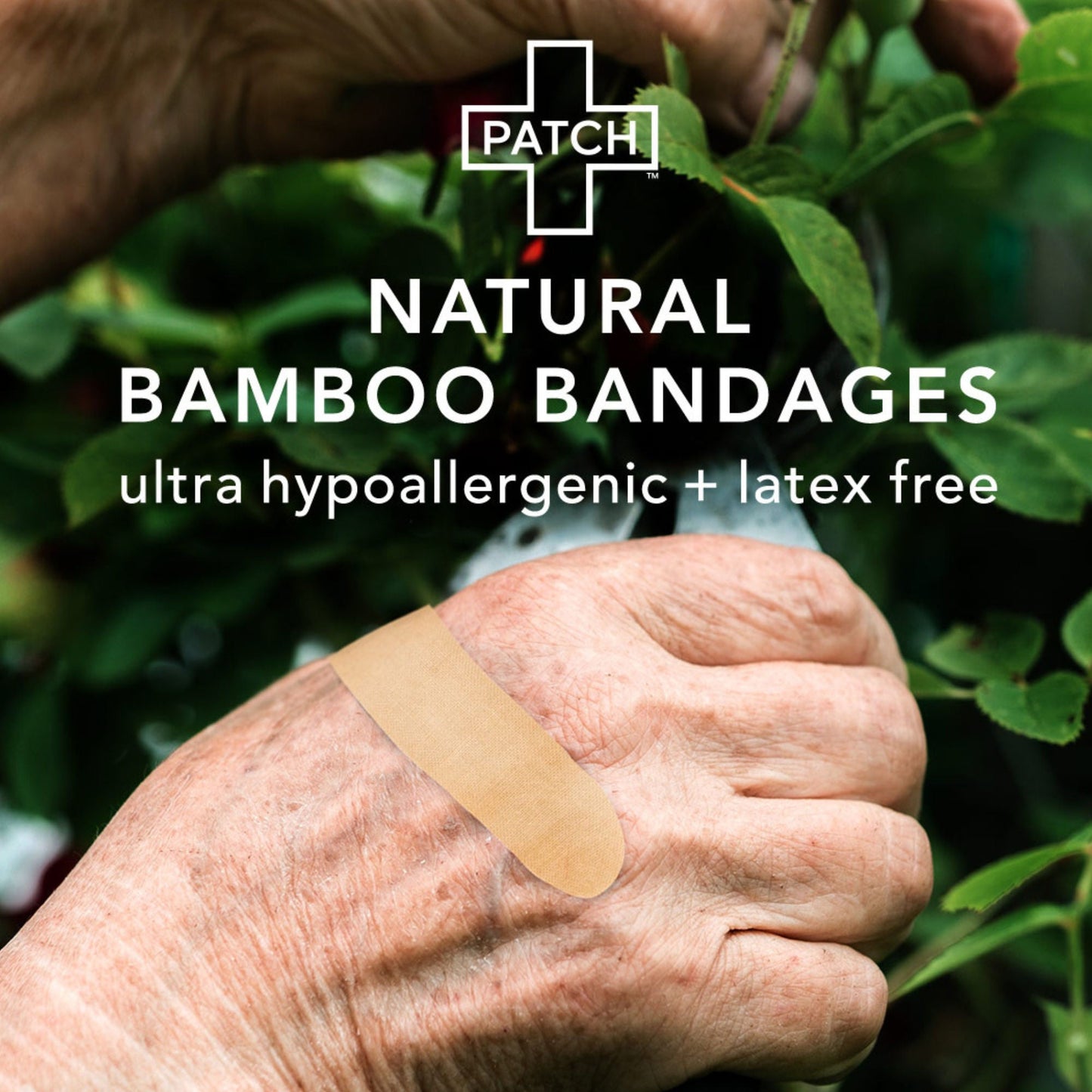 Patch™ Adhesive Strip with Aloe Vera