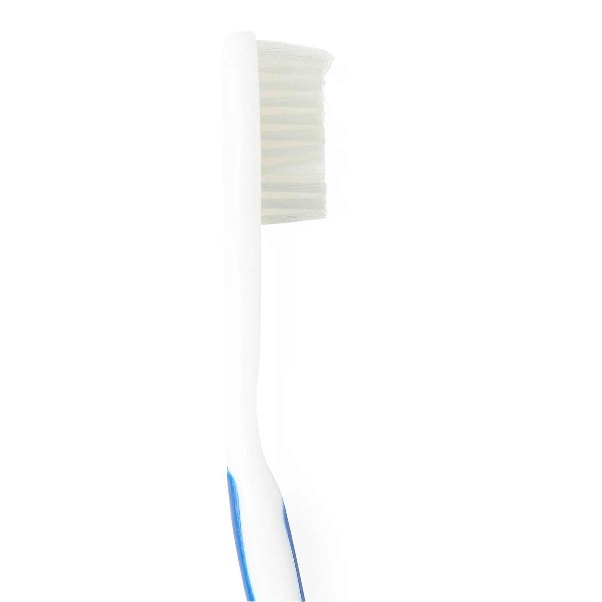 Medline Toothbrush Blue / White Adult Soft