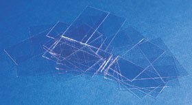 Erie Scientific Cover Glass