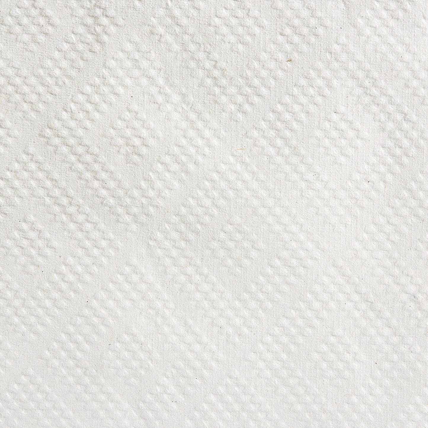 Pacific Blue Basic™ White Paper Towel, 7-7/ , 12 Rolls