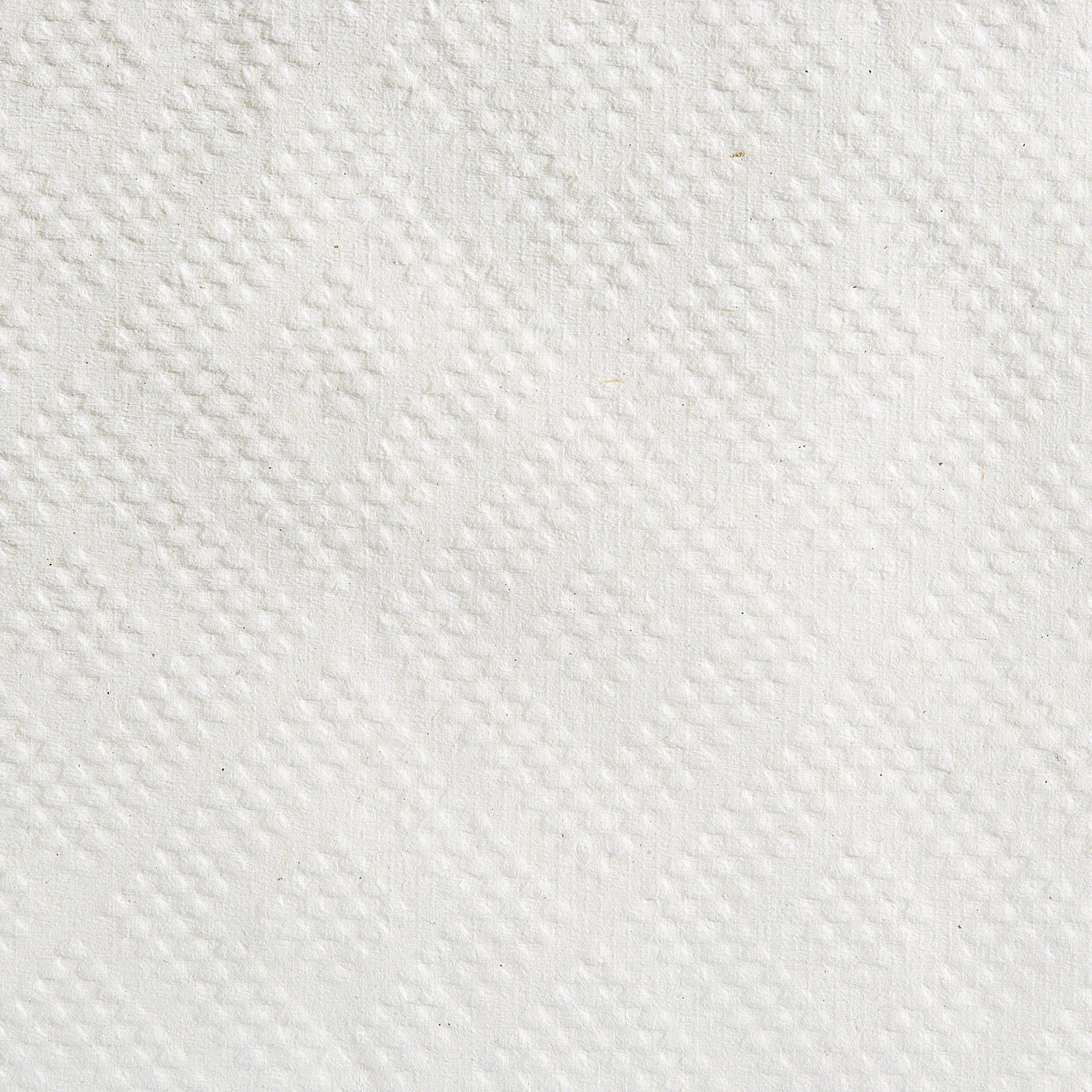 Pacific Blue Basic™ White Paper Towel, 7-7/ , 12 Rolls