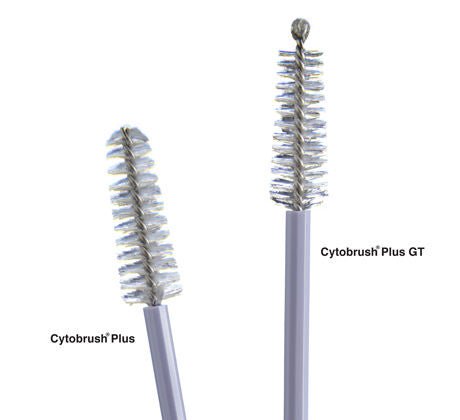 Medscand® Cytobrush Plus® GT Cytology Brush