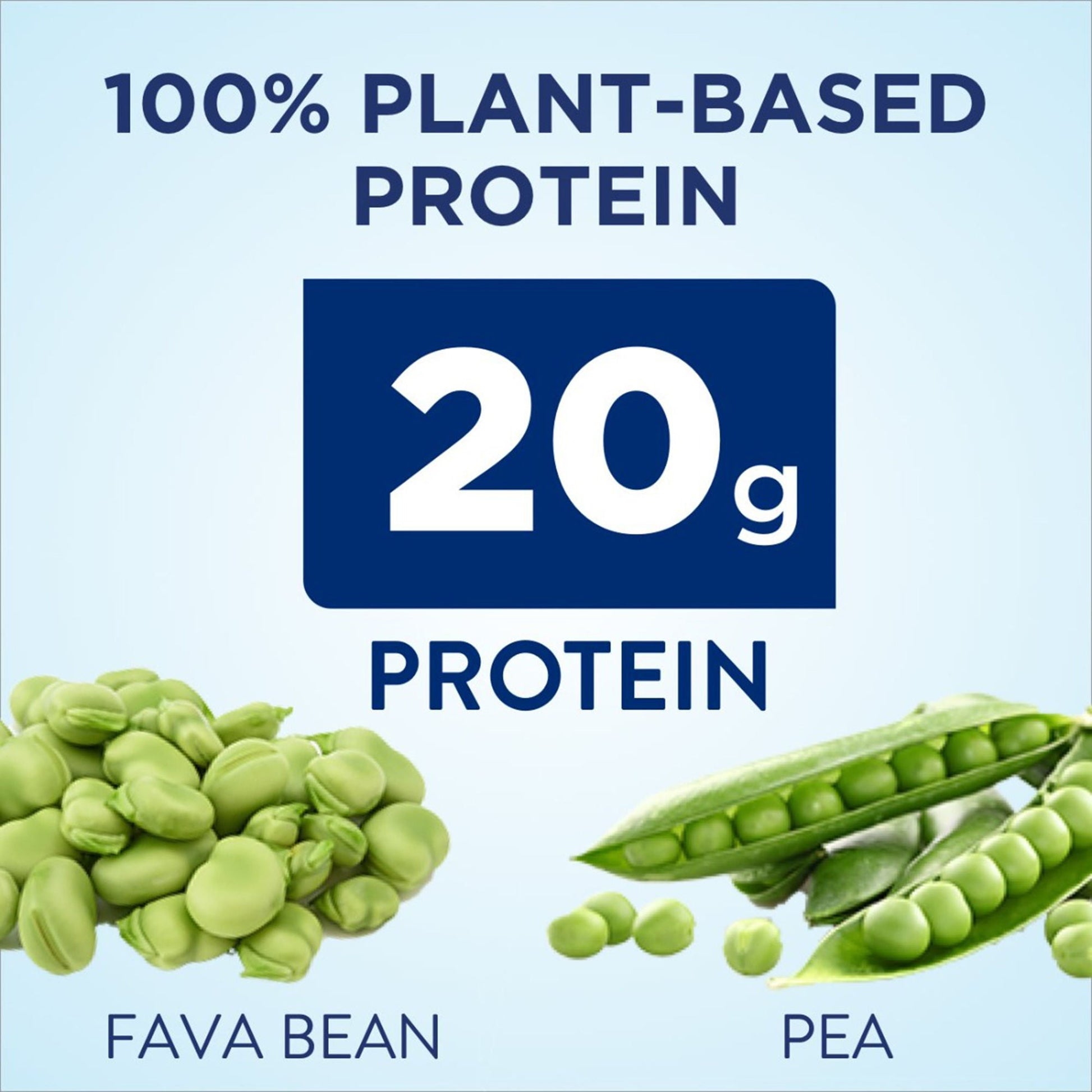 Ensure® Plant Based Protein Nutrition Shake, Chocolate, carton