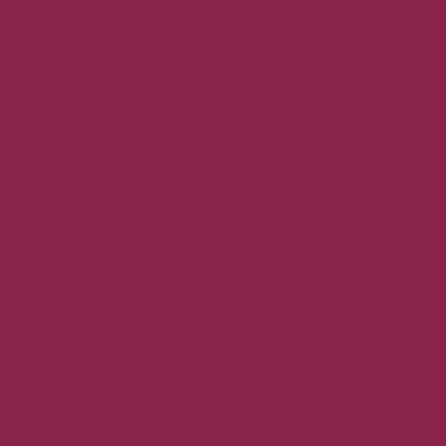 3M™ Littmann® Classic II Pediatric Stethoscope, Raspberry