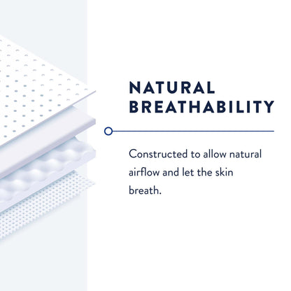 Prevail® Belted Shields Incontinence Belted Undergarment