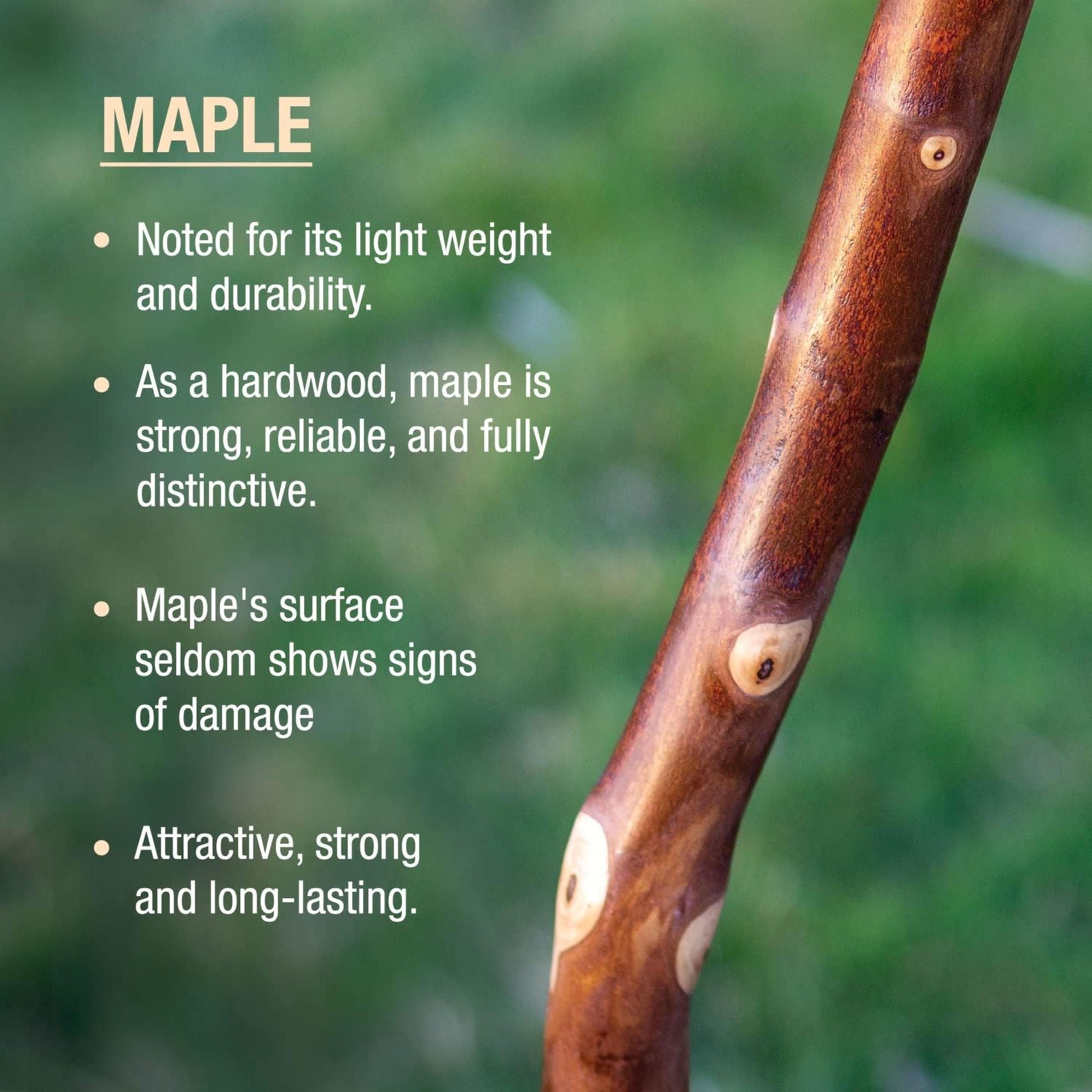 Brazos™ Maple Rustic Walking Stick, 55-Inch Height