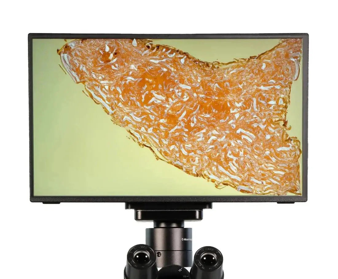 LW Scientific BVP-SCRN-1163 microscope monitor 1080p HD display with 11.6-inch screen, HDMI connectivity, and onscreen imaging controls