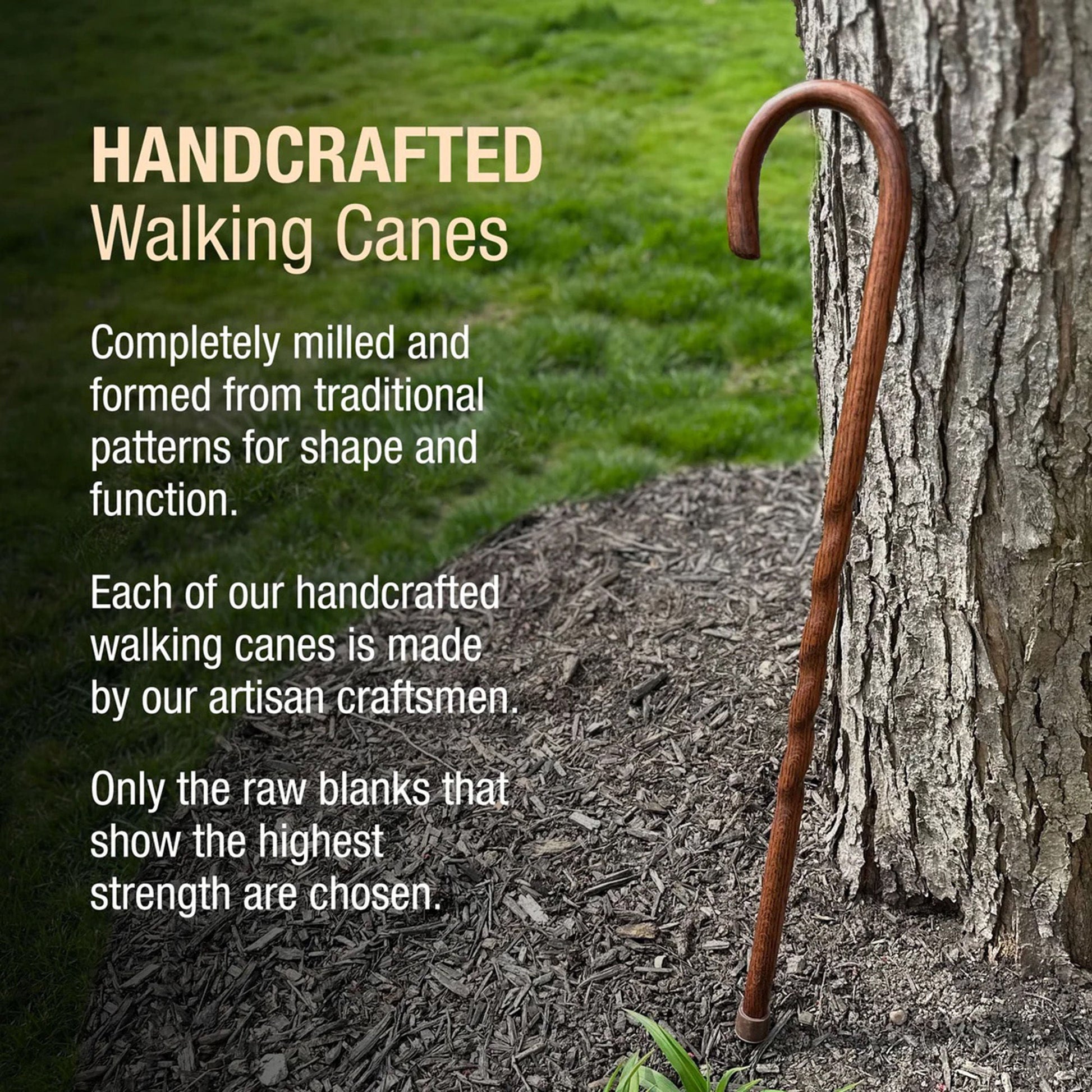 Brazos™ Twisted Oak Crookneck Cane, 37-Inch Height, Red
