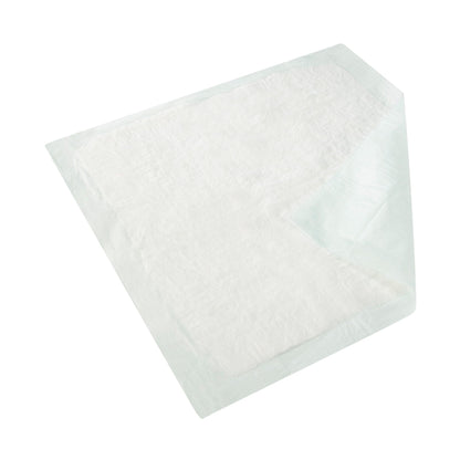 Wings Plus Underpads, Disposable, Heavy Absorbency, Beige