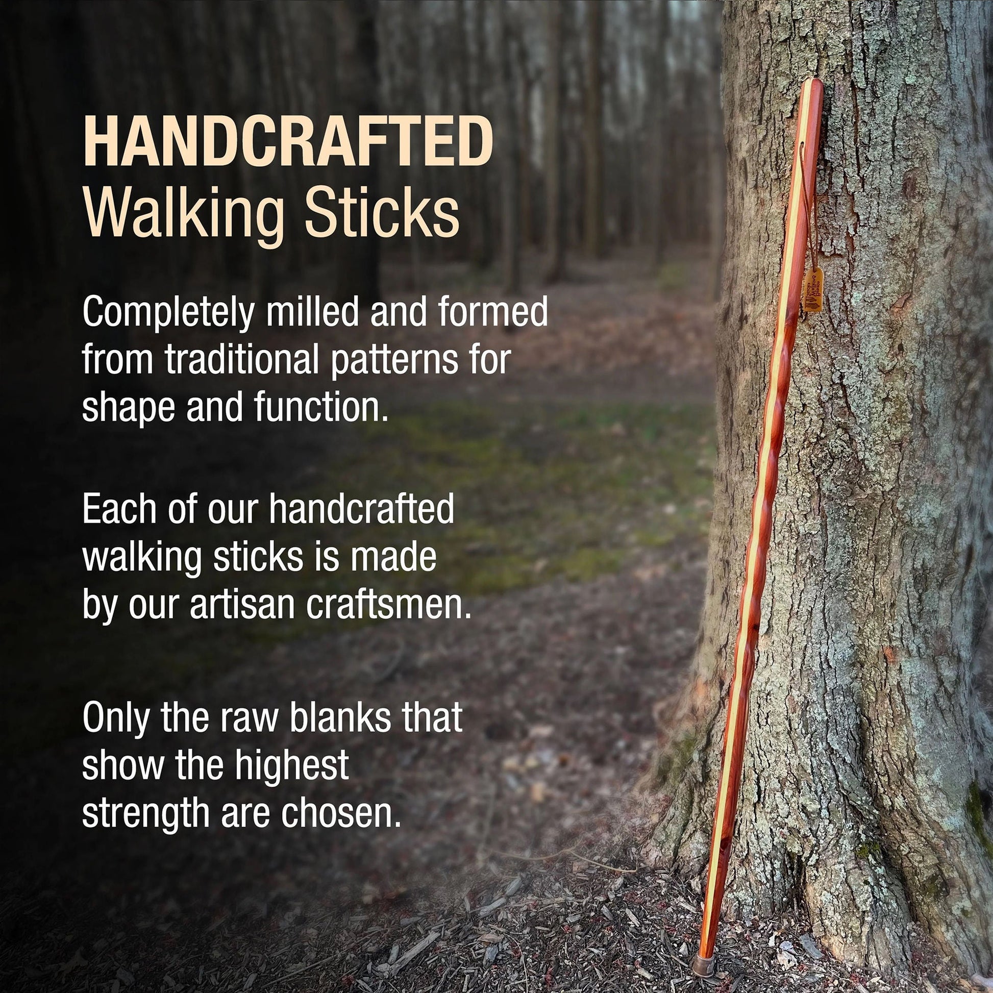 Brazos™ Twisted Cedar Backpacker Handcrafted Walking Stick, 58-Inch