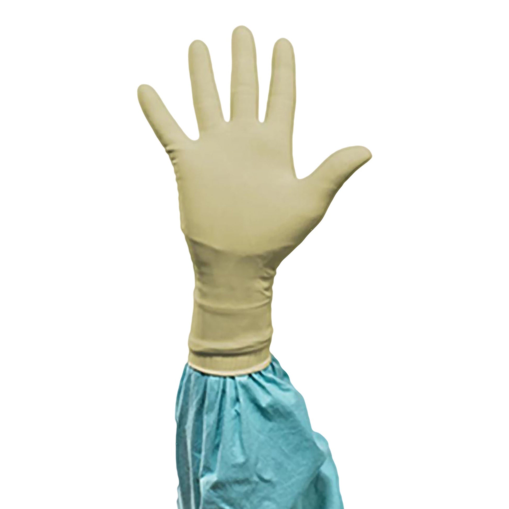 Sterile Biogel® PI Polyisoprene Surgical Gloves, Ivory - view 6