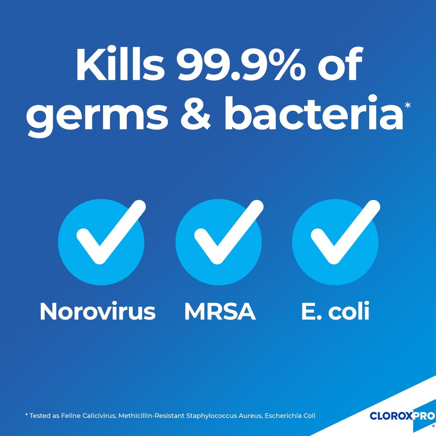 Clorox Pro™ Clorox® Germicidal Bleach