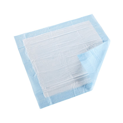 McKesson Classic Plus Light Absorbency Underpads