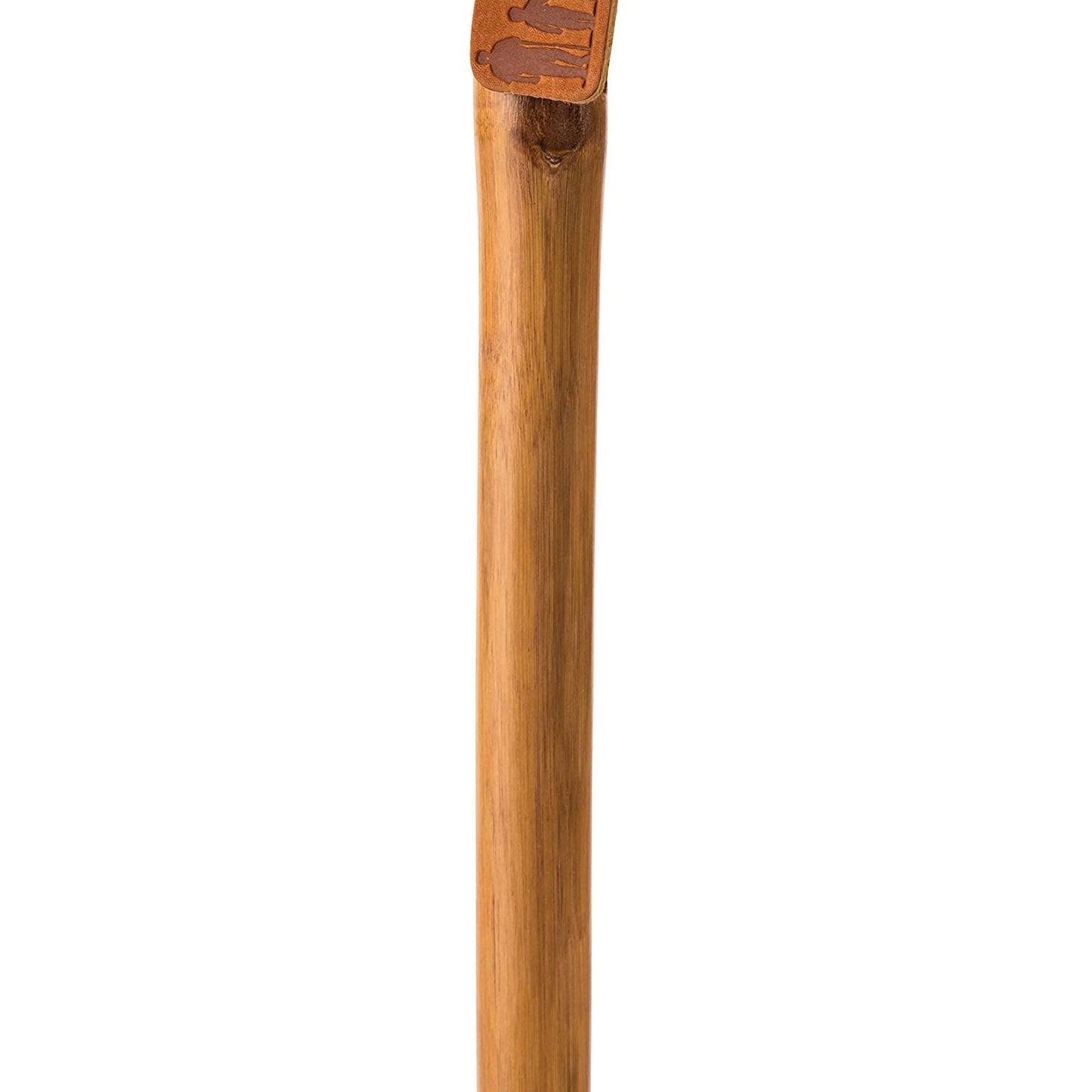 Brazos™ Iron Bamboo Rustic Walking Stick, 55 Inch Height, Red