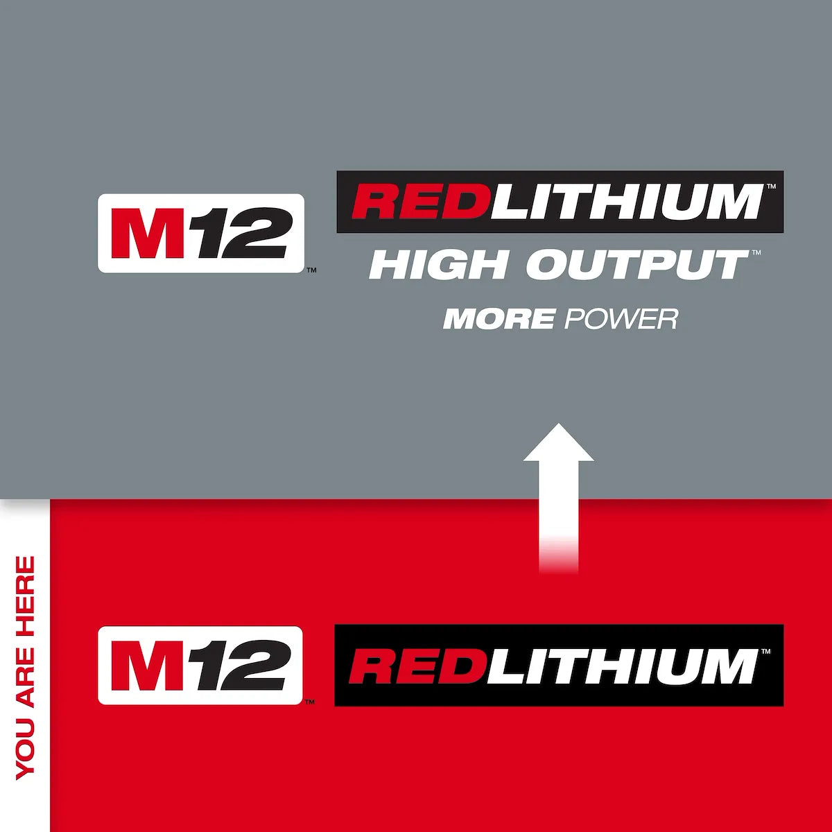 Milwaukee M12 REDLITHIUM XC4.0 Battery Two Pack 48-11-2442 | M12 Battery