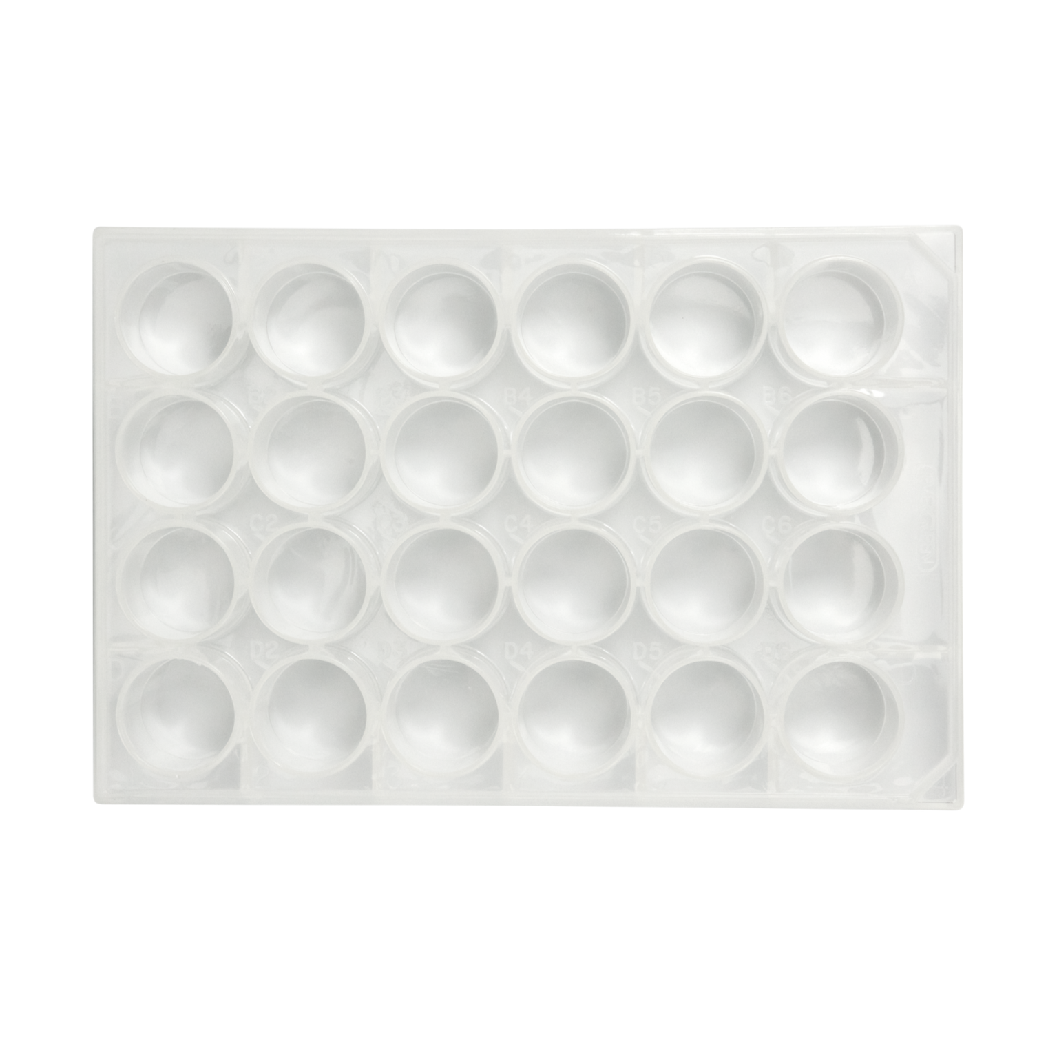 Caplugs® Evergreen 290-8124-01F — 24-Well Microplates, Flat Bottom, 3.5 mL Well Volume, Non-Sterile, Polystyrene (