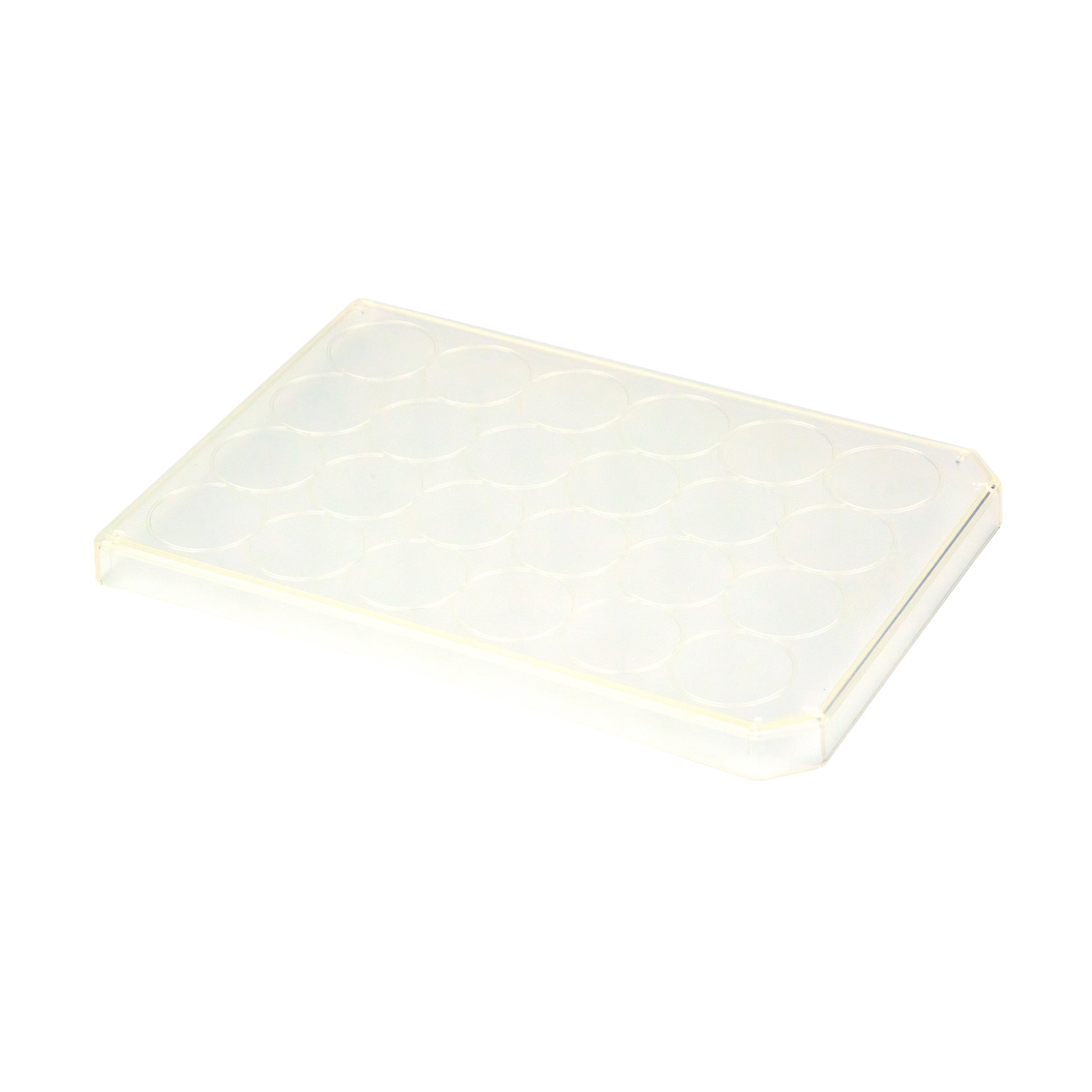 Caplugs® Evergreen 290-8125-01L — 24-Well Microplate Lids, Non-Sterile, Polystyrene (PS), Natural — 290-8125-01L |