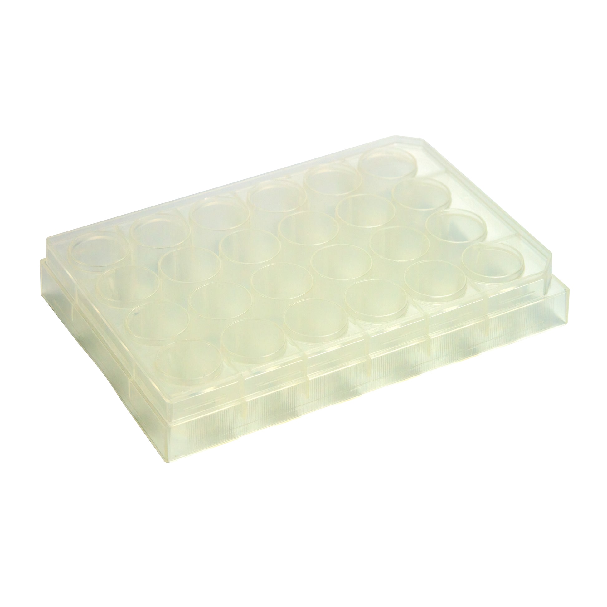 Caplugs® Evergreen 290-8324-03F — 24-Well Microplates, Flat Bottom, 3.5 mL Well Volume, Non-Sterile, Polypropylene
