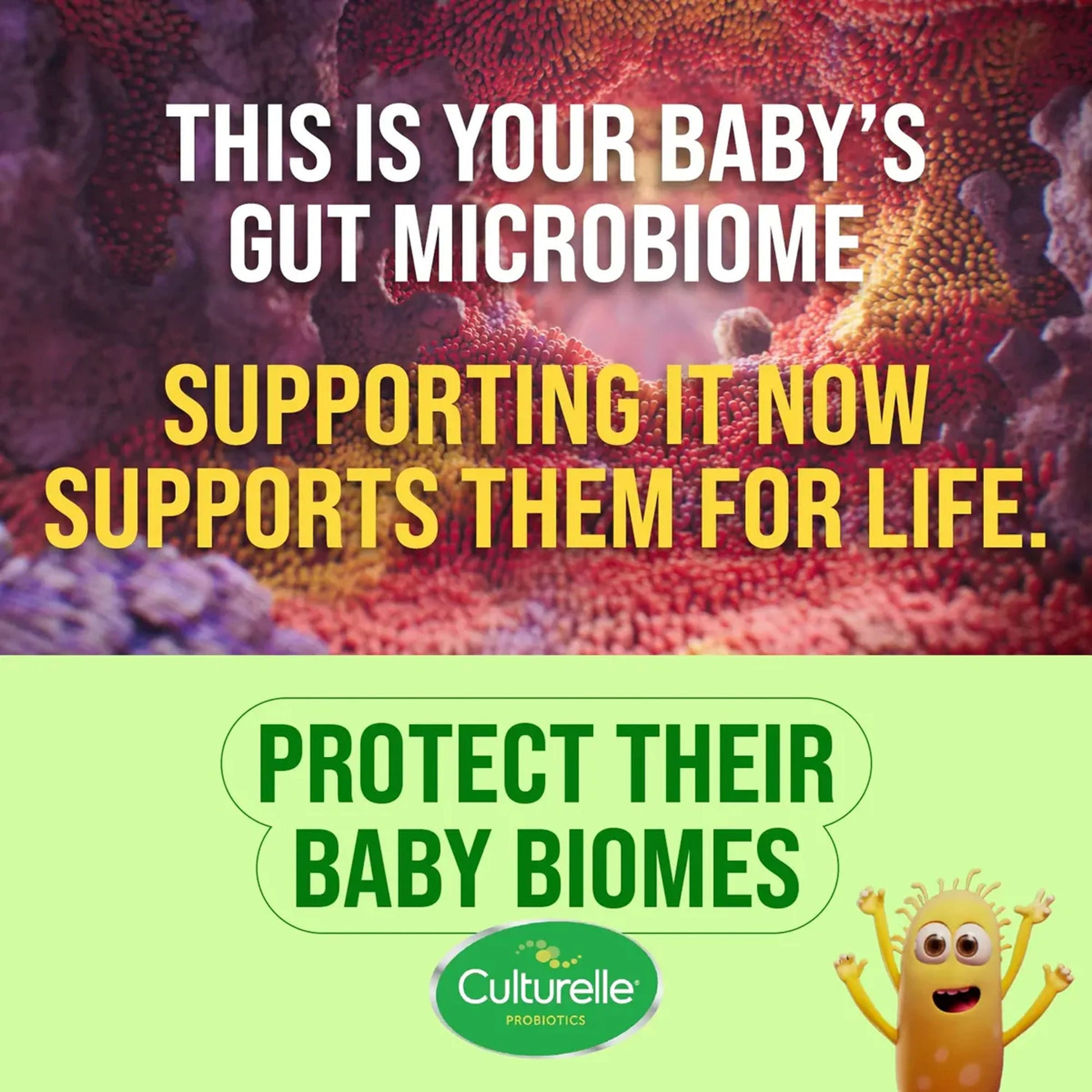 Culturelle® Baby Digestive Calm + Comfort Probiotic Drops