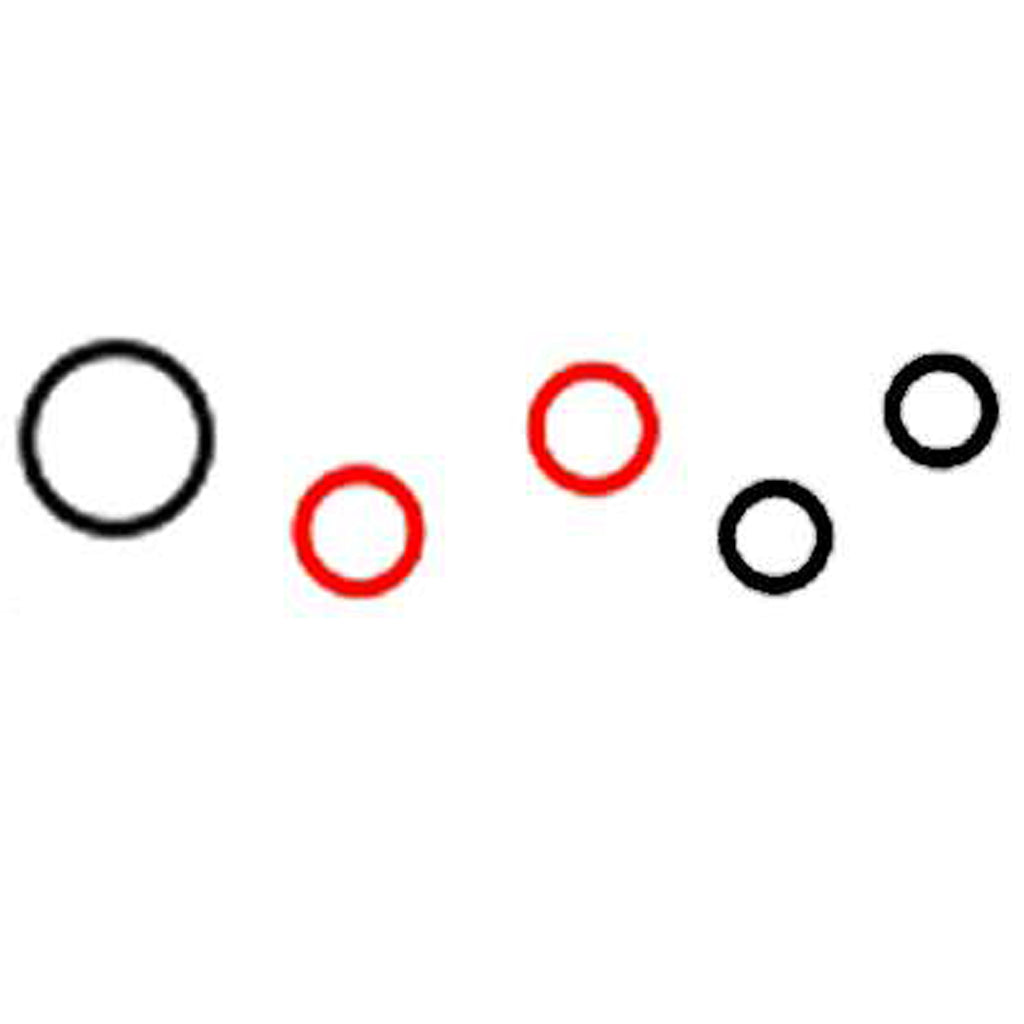 O-ring Kit - Optima XL/DV - Alpha Resources part ARICP372 (replaces PerkinElmer N0690769)
