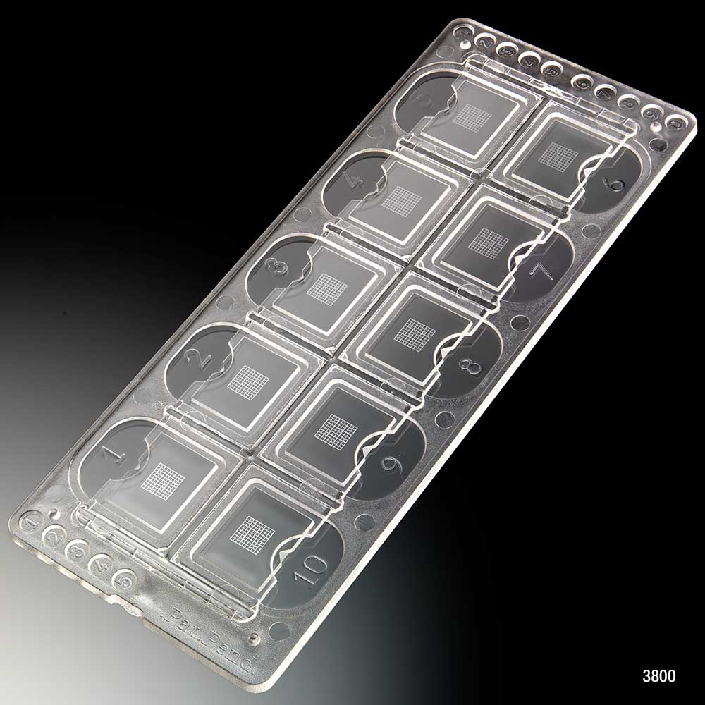 Quick-Read Urinalysis Slides, 10-Well with Counting Grid — 100 Slides/Box (1000 Tests) | Globe Scientific