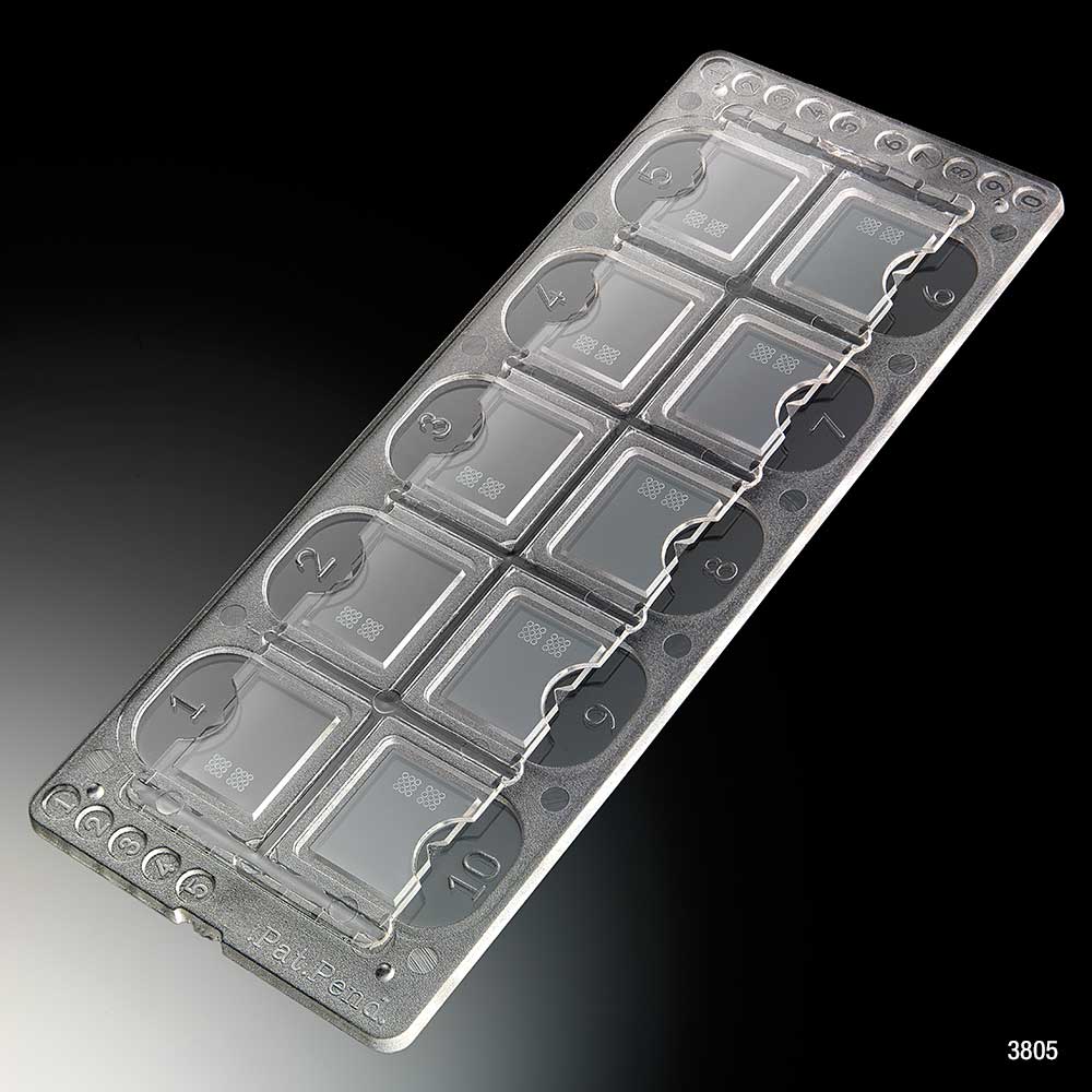 Urinalysis Counting Slides, 10-Well with Counting Circles — 100 Slides/Box (1000 Tests) | Globe Scientific