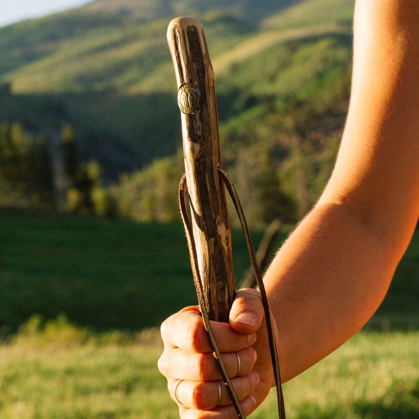 Brazos™ Ironwood Rustic Walking Stick, 48-Inch Height