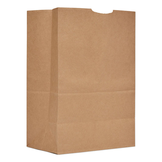 Brown Kraft Paper Grocery Bag, x 17 Inch
