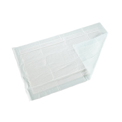 McKesson Super Moderate Absorbency Underpad