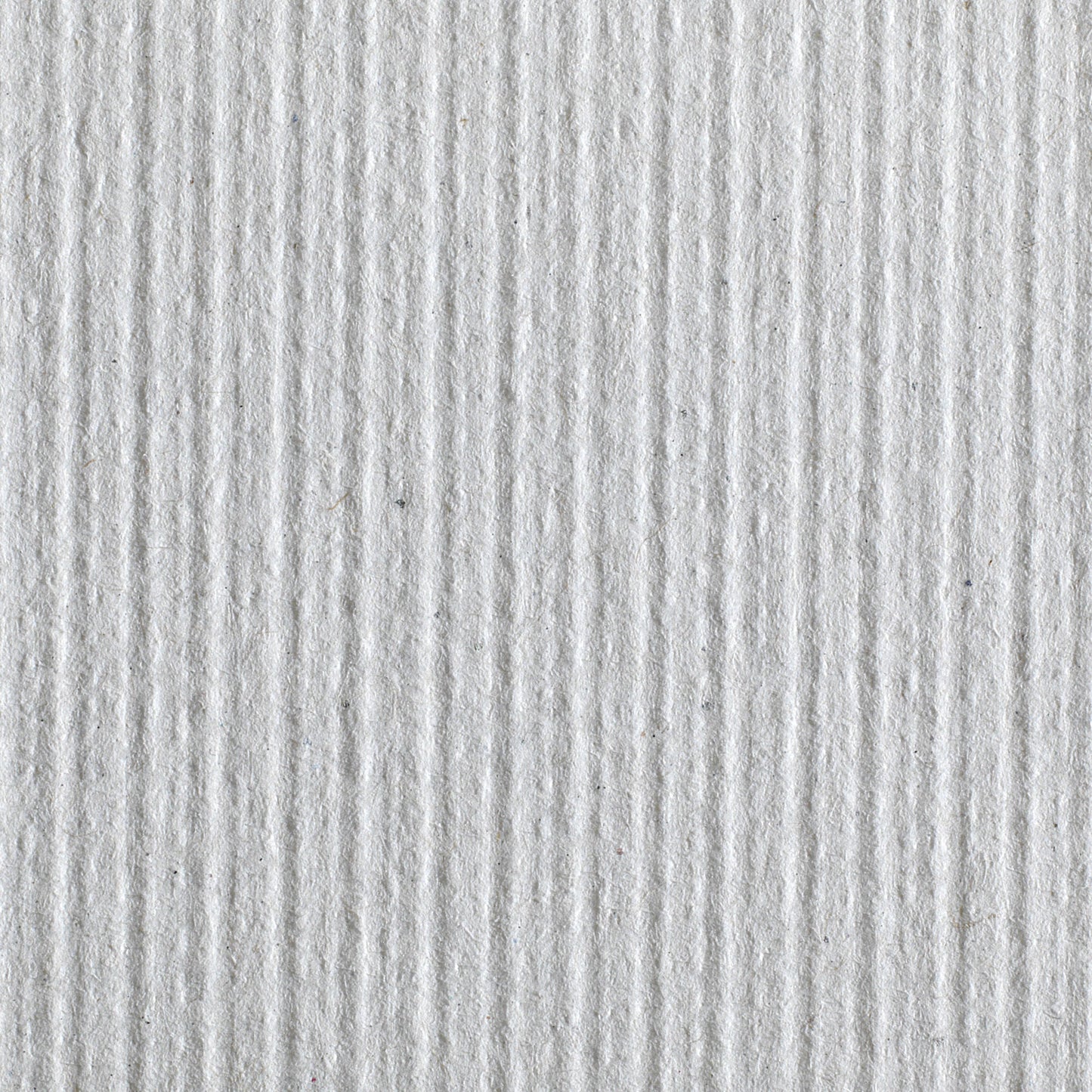 Pacific Blue Basic™ Paper Towel