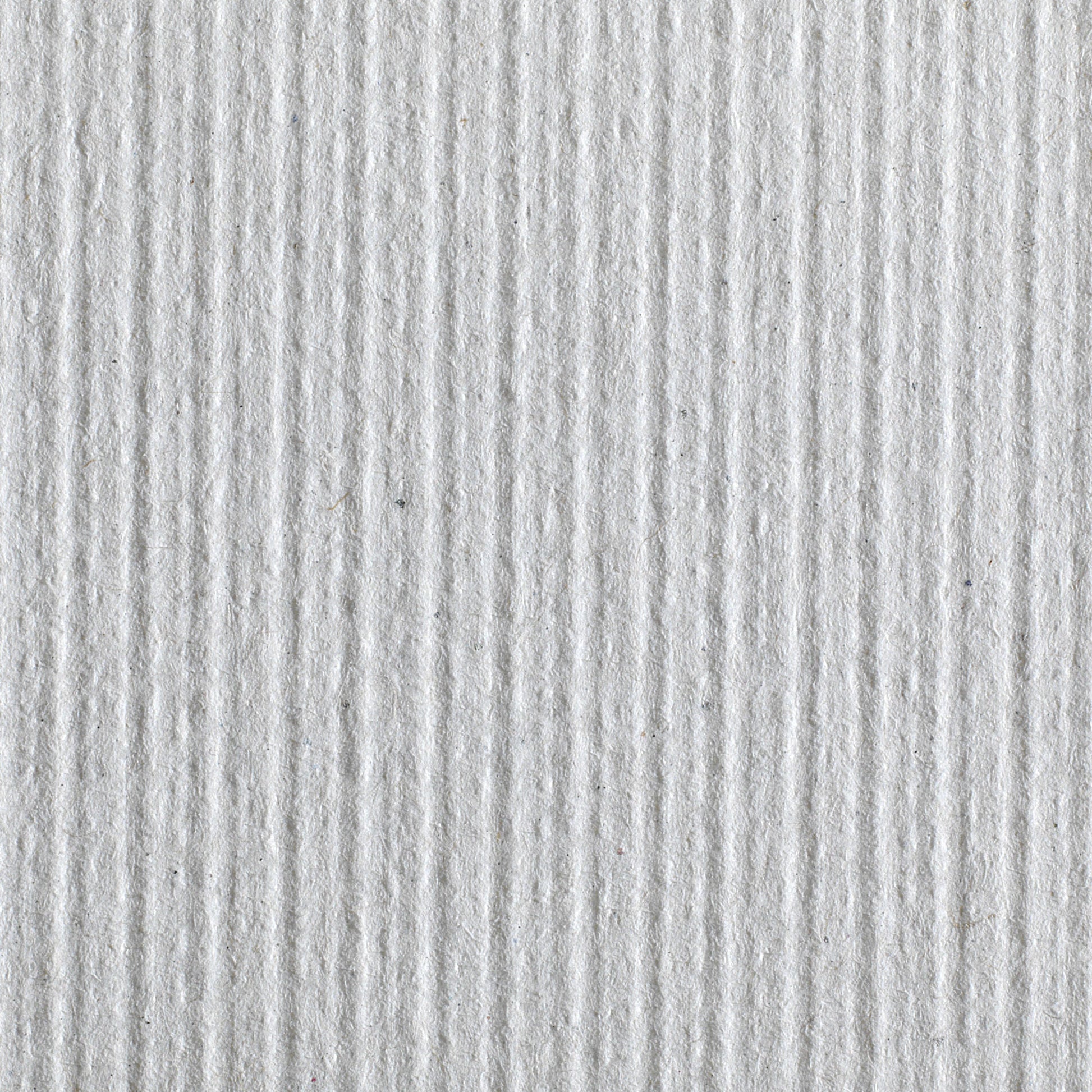 Pacific Blue Basic™ Paper Towel