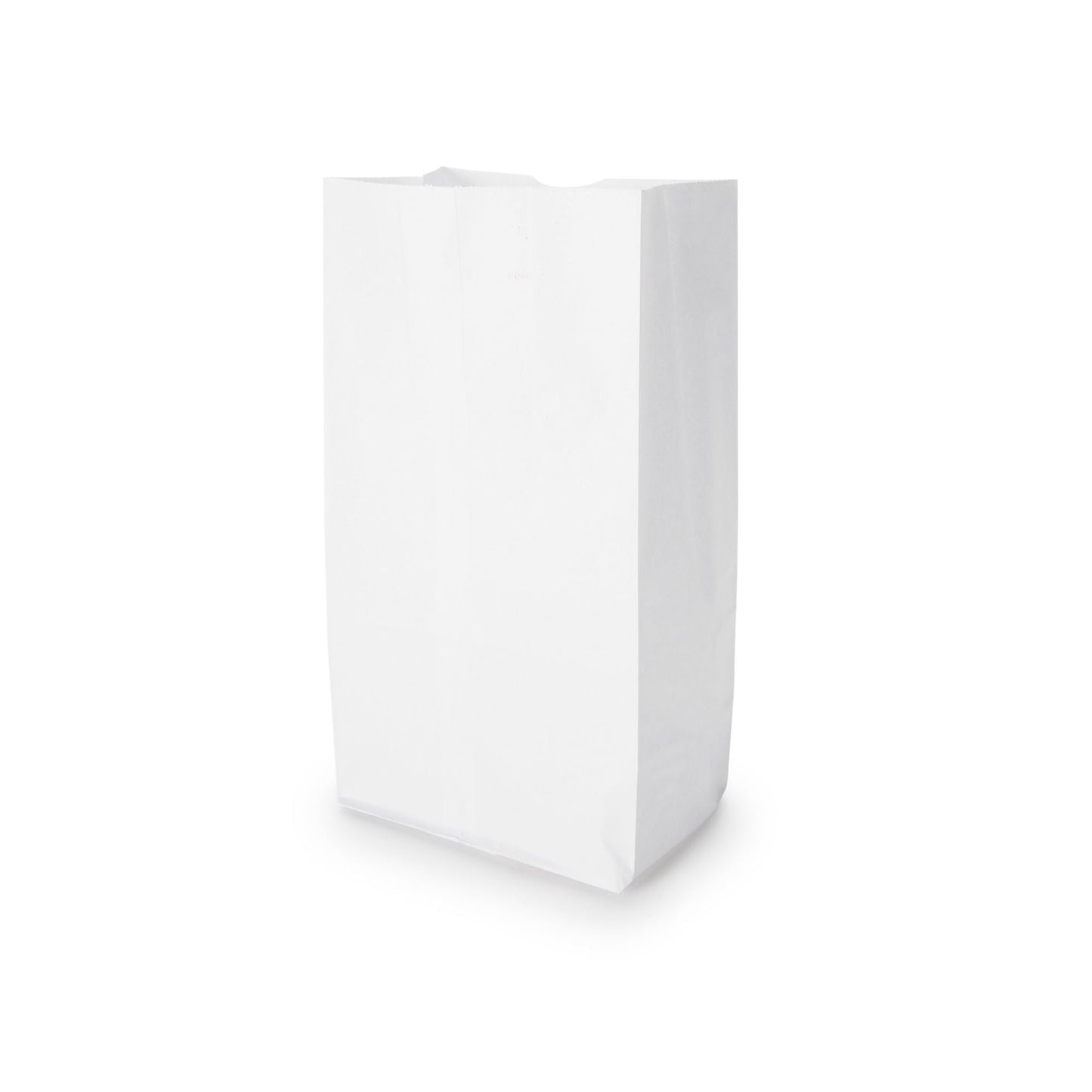 White Paper Bag, x 11.06 Inch
